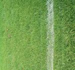 Alla Wormatia - Wormatia Worms SC Freiburg II