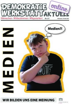 N Medien?! - WIR BILDEN UNS EINE MEINUNG - Nr. 61 - Demokratiewebstatt
