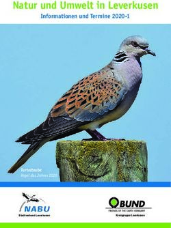 Natur und Umwelt in Leverkusen - Informationen und Termine 2020-1 - Turteltaube - BUND Leverkusen