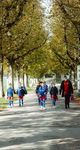 Seltsames 2020 und dennoch nicht freudlos - FC Basel ...