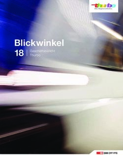 Blickwinkel 18 Gesch&auml;ftsbericht - Thurbo