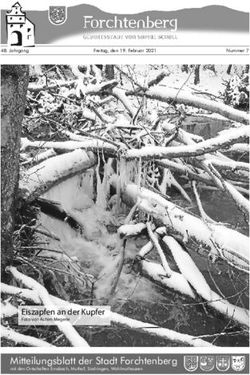Mitteilungsblatt der Stadt Forchtenberg - Eiszapfen an der Kupfer Foto von Achim Megerle - Lokalmatador