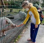 Momente, die es zu leben gilt - Liebe Mitglieder, Freunde, Unterstützer und Familien der Sternenbrücke ! - Kinder-Hospiz Sternenbrücke