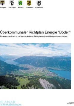 &Uuml;berkommunaler Richtplan Energie "B&ouml;deli" - Erl&auml;uternder Bericht mit verbindlichem Richtplantext und Massnahmenbl&auml;ttern - Gemeinde Matten