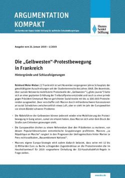 Die "Gelbwesten"-Protestbewegung in Frankreich - Ausgabe vom 25. Januar 2019 1/2019 - Hanns-Seidel-Stiftung