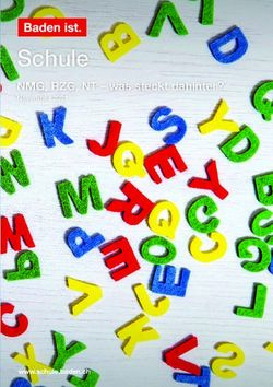 Schule NMG, RZG, NT - was steckt dahinter? November 2021 - www.schule.baden.ch