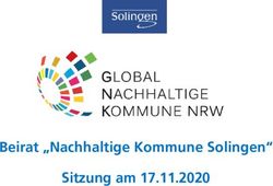 Beirat "Nachhaltige Kommune Solingen" Sitzung am 17.11.2020
