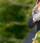 Mediadaten 2019 - Rheinlands Reiter+Pferde