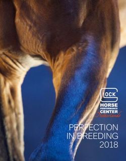 PERFECTION IN BREEDING 2018 - GLOCK HORSE PERFORMANCE ...