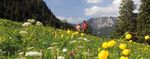 Urlaub - was tun? www.tannheimertal.com-1- Urlaubwastun - Tannheimer Tal