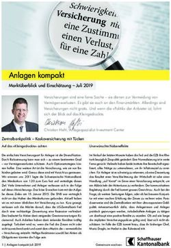 Anlagen kompakt Markt&uuml;berblick und Einsch&auml;tzung - Juli 2019 - Schaffhauser Kantonalbank