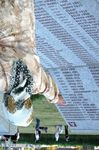 Srebrenica 25 Jahre nach dem Genozid sind Kinder und Frauen marginalisiert und noch einmal traumatisiert - Gesellschaft f&uuml;r bedrohte V&ouml;lker