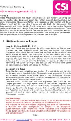 CSI - Kreuzwegandacht 2013