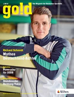 Mythos Deutschland-Achter - Richard Schmidt Powerplay f&uuml;r 2026 - Stiftung Deutsche Sporthilfe