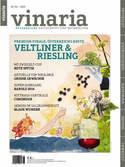 VELTLINER & - Weingut FJ GRITSCH
