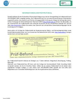 INFORMATIONEN ZUM PRÜFPROTOKOLL