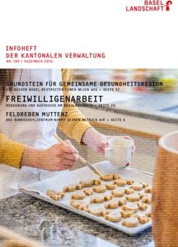 FREIWILLIGENARBEIT INFOHEFT DER KANTONALEN VERWALTUNG - Kanton Basel-Landschaft