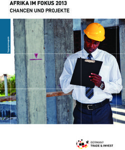 AFRIKA IM FOKUS 2013 CHANCEN UND PROJEKTE