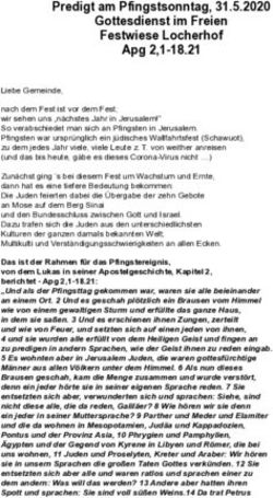 Predigt am Pfingstsonntag, 31.5.2020 Gottesdienst im Freien Festwiese Locherhof Apg 2,1-18.21 - Evang ...