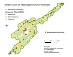 RINDENWANZEN ALS NATURNÄHEZEIGER - in den Wäldern des Nationalparks Hunsrück-Hochwald: Artenvielfalt und Populationsdichten der Rindenwanzen im ...