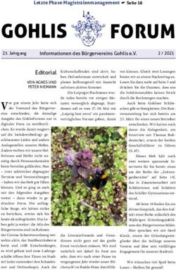 Letzte Phase Magistralenmanagement A Seite 18 - B&uuml;rgerverein Gohlis e. V.
