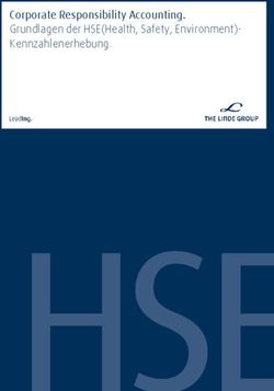 Corporate Responsibility Accounting. Grundlagen der HSE(Health, Safety, Environment)- Kennzahlenerhebung.