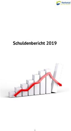 Schuldenbericht 2019 - Stadt Nettetal