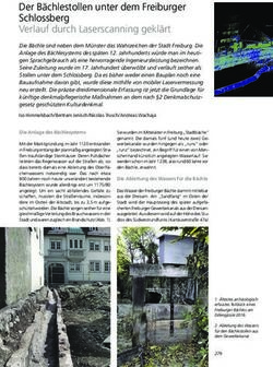 Der B&auml;chlestollen unter dem Freiburger Schlossberg Verlauf durch Laserscanning gekl&auml;rt