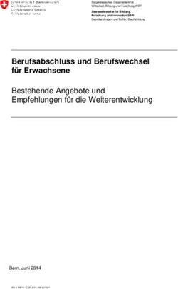 Berufsabschluss und Berufswechsel für Erwachsene Bestehende Angebote und Empfehlungen für die Weiterentwicklung
