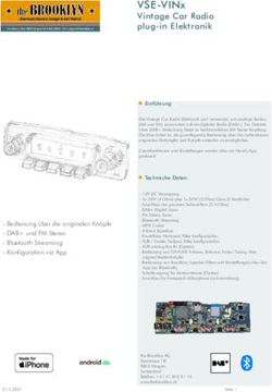 VSE-VINx Vintage Car Radio plug-in Elektronik