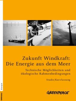 Zukunft Windkraft: Die Energie aus dem Meer - Technische Möglichkeiten und ökologische Rahmenbedingungen - Greenpeace