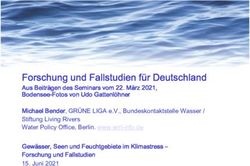 Forschung und Fallstudien f&uuml;r Deutschland - Aus Beitr&auml;gen des Seminars vom 22. M&auml;rz 2021, Bodensee-Fotos von Udo Gattenl&ouml;hner Michael Bender ...