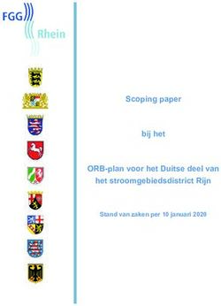 Scoping paper bij het ORB-plan voor het Duitse deel van het stroomgebiedsdistrict Rijn - Stand van zaken per 10 januari 2020 - nlwkn