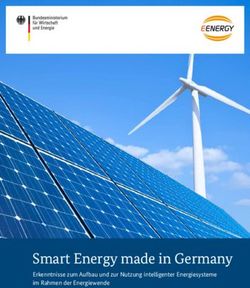 Smart Energy made in Germany - Erkenntnisse zum Aufbau und zur Nutzung intelligenter Energiesysteme im Rahmen der Energiewende