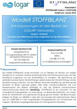 Modell STOFFBILANZ (mit Anpassungen an den Bedarf des LOGAR*-Netzwerks)