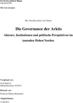 Die Governance der Arktis - Akteure, Institutionen und politische Perspektiven im tauenden Hohen Norden - Ecologic Institute