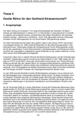 These 5 Zweite R&ouml;hre f&uuml;r den Gotthard-Strassentunnel? - TGZ
