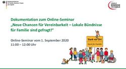 Dokumentation zum Online-Seminar "Neue Chancen für Vereinbarkeit - Lokale Bündnisse für Familie sind gefragt!" - Online-Seminar vom 1. September ...