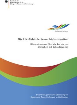 Die UN-Behindertenrechtskonvention - Übereinkommen über Die Rechte Von ...