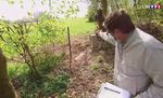 Noli me tangere - Grenzsteine sind unantastbar ! Die Bedeutung von historischen Grenzen an einem aktuellen Beispiel - OVG