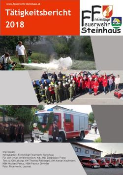 T&auml;tigkeitsbericht 2018 - Feuerwehr Steinhaus