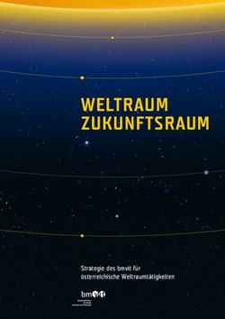 WELTRAUM ZUKUNFTSRAUM - Strategie des bmvit für österreichische Weltraumtätigkeiten - FFG