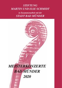 MEISTERKONZERTE BAD MÜNDER 2020 - STIFTUNG MARTIN UND ILSE SCHMIDT STADT BAD MÜNDER