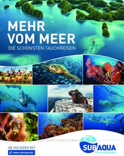 MEHR VOM MEER DIE SCHÖNSTEN TAUCHREISEN - AB INS MEER MIT - Sub Aqua