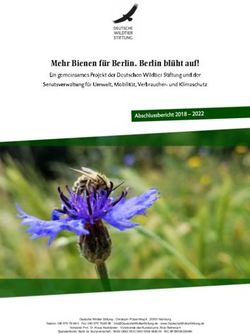 Mehr Bienen für Berlin. Berlin blüht auf!