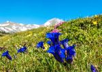 Gipfeltreffen im Berner Oberland - Eiger, Mönch und Jungfrau Flugreise in die Schweiz vom 9. bis 15. Juni 2020 - Hanseat Reisen