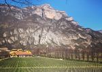 San Leonardo Das Schmuckstück aus dem Trentino - Vinifera ...