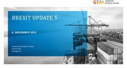 BREXIT UPDATE 5 6. NOVEMBER 2019 - Stefanie Eich & Martin Fischer Recht & Zoll www.gtai.de