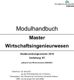 Modulhandbuch Master Wirtschaftsingenieurwesen