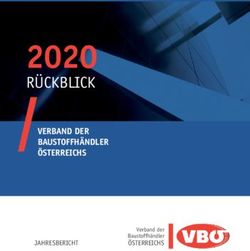 2020 R&Uuml;CKBLICK VERBAND DER BAUSTOFFH&Auml;NDLER &Ouml;STERREICHS - Verband der Baustoffh&auml;ndler &Ouml;sterreich